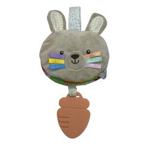 Hoppy Spring Baby Soft Plush Bunny Crinkle Book Teether Loop Infants Toddler 11"